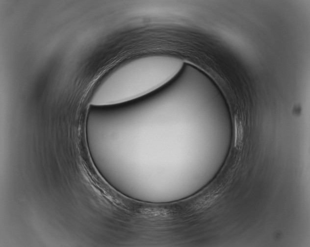 X0000116460435200912090931