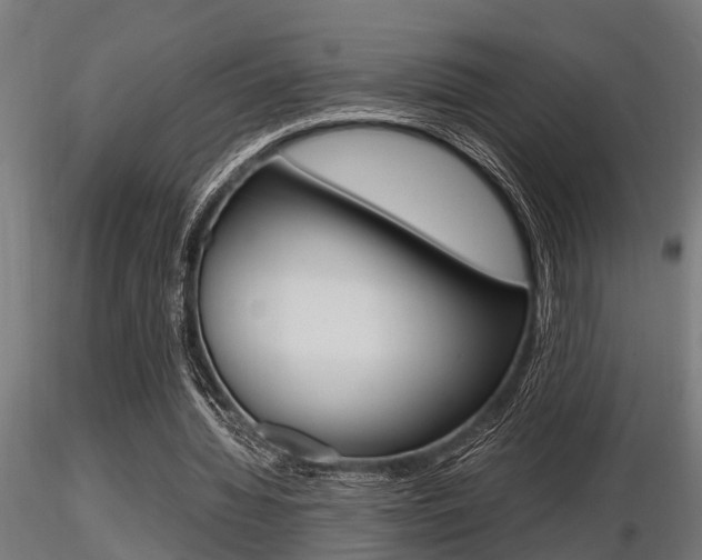 X0000116460436200912090931