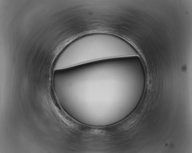 X0000116460437200912090931