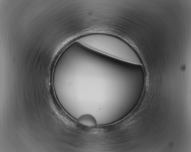 X0000116460438200912090931