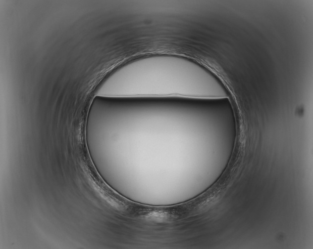 X0000116460441200912090931