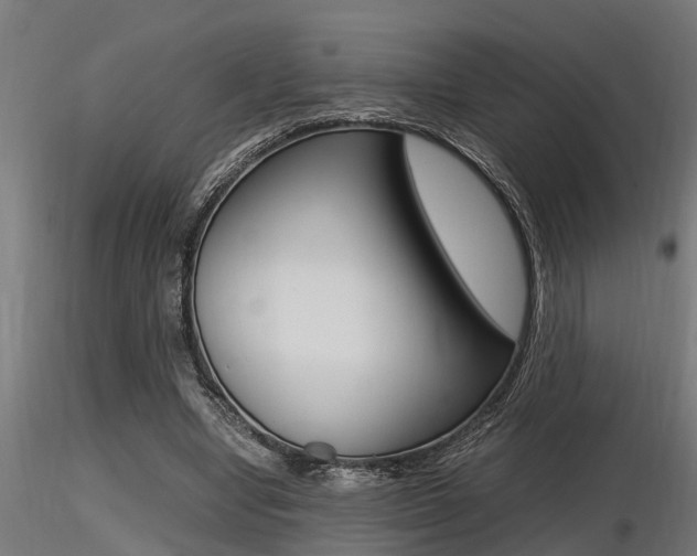 X0000116460442200912090931