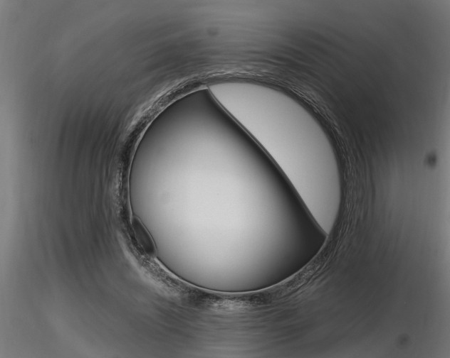 X0000116460444200912090931