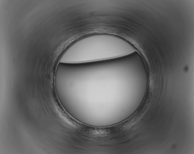 X0000116460445200912090931