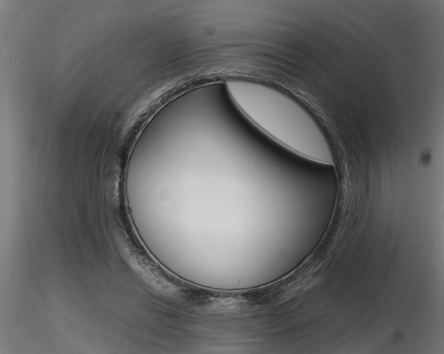 X0000116460446200912090931