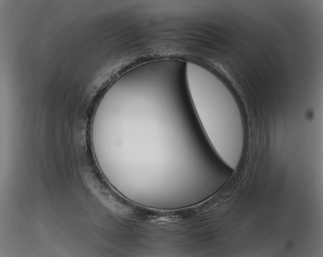 X0000116460447200912090931