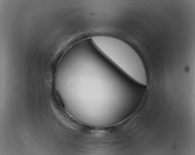 X0000116460448200912090931
