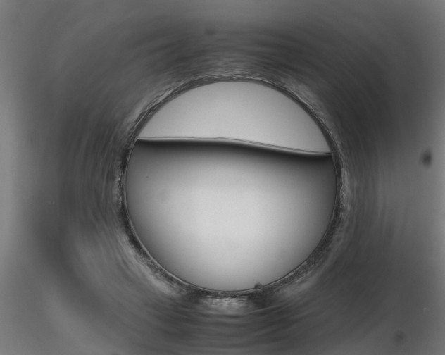 X0000116460449200912090931
