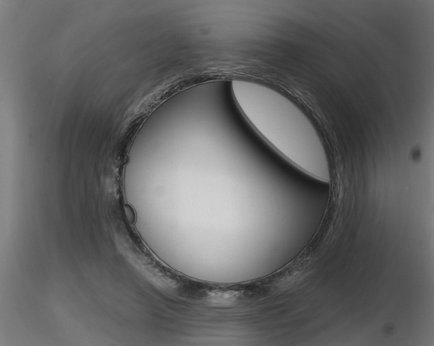 X0000116460450200912090931