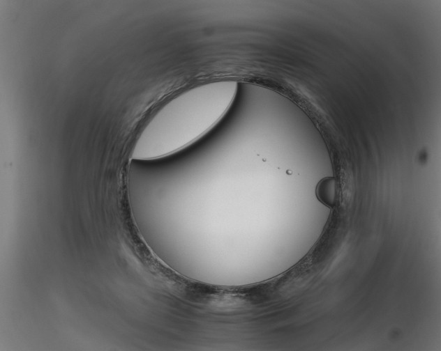 X0000116460451200912090931