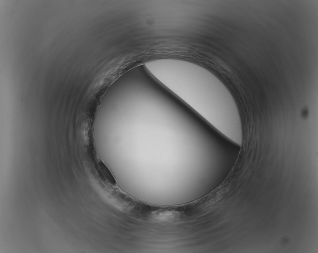 X0000116460452200912090931