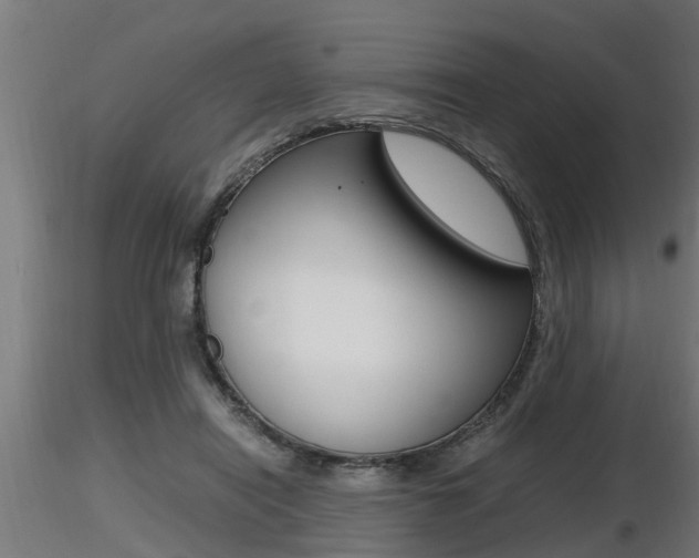 X0000116460454200912090931