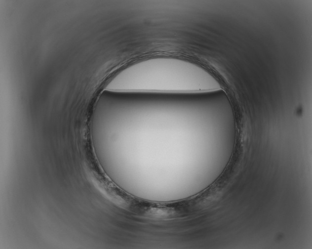 X0000116460455200912090931