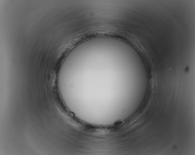 X0000116460458200912090931