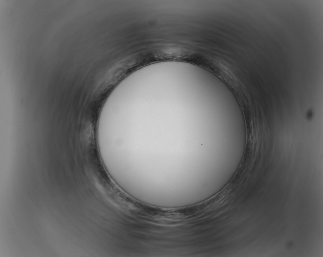 X0000116460459200912090931
