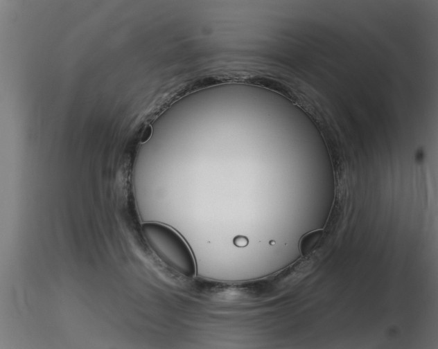 X0000116460460200912090931