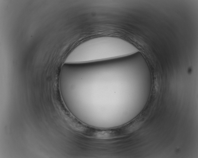X0000116460461200912090931