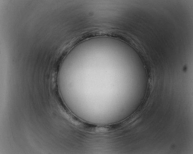 X0000116460462200912090931
