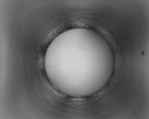 X0000116460465200912090931