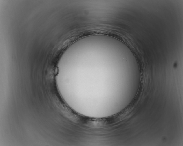 X0000116460466200912090931