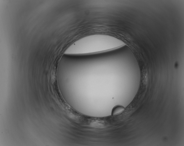 X0000116460471200912090931