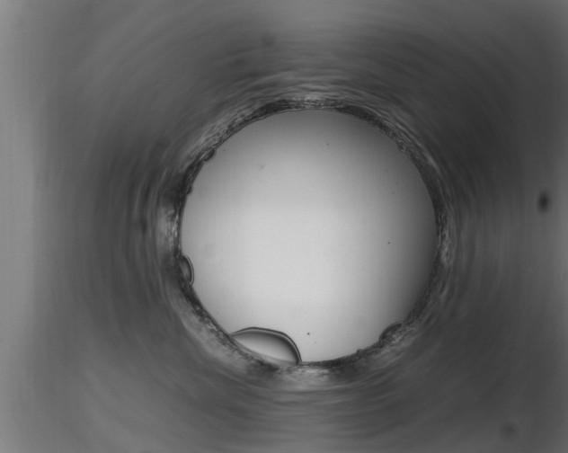 X0000116460476200912090931