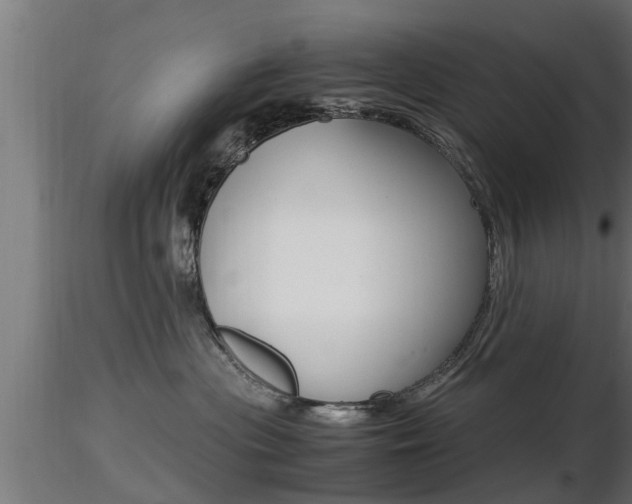 X0000116460477200912090931