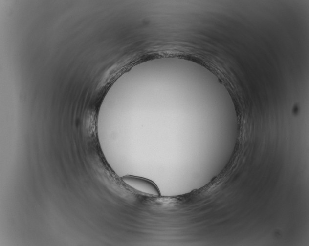 X0000116460478200912090931