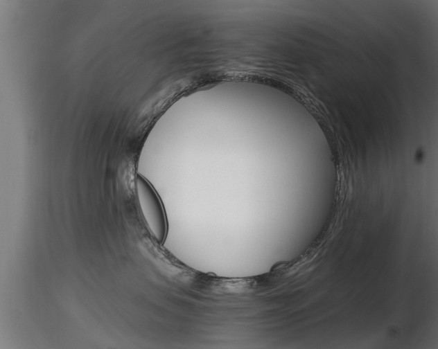 X0000116460479200912090931