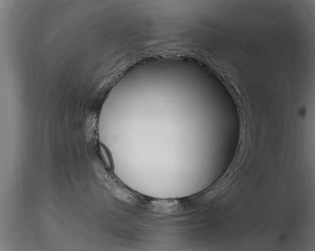 X0000116460480200912090931