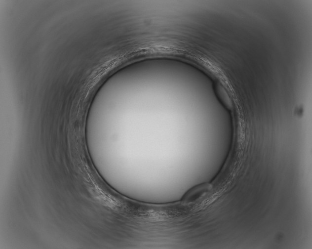 X0000116460481200912090931
