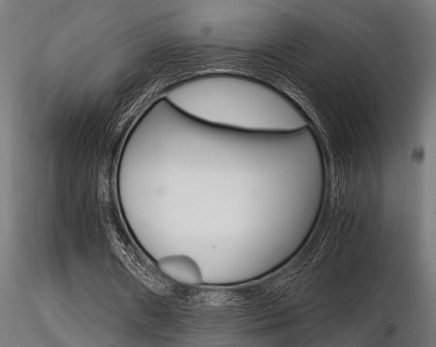 X0000116460482200912090931
