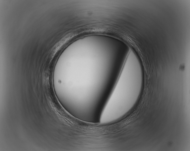 X0000116460483200912090931