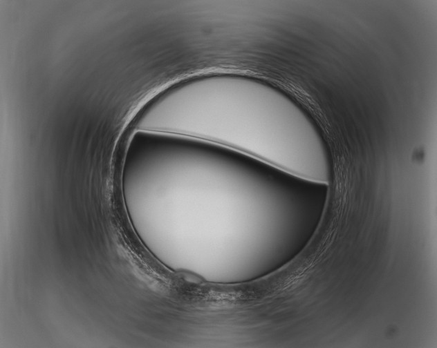 X0000116460484200912090931