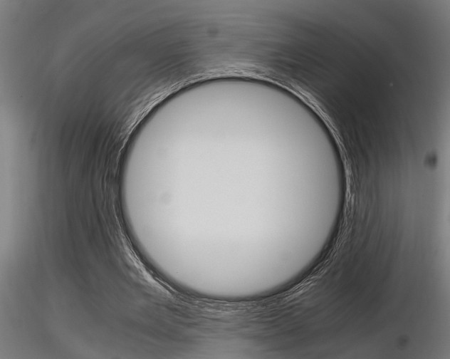 X0000116460485200912090931