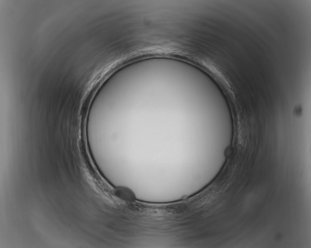 X0000116460486200912090931