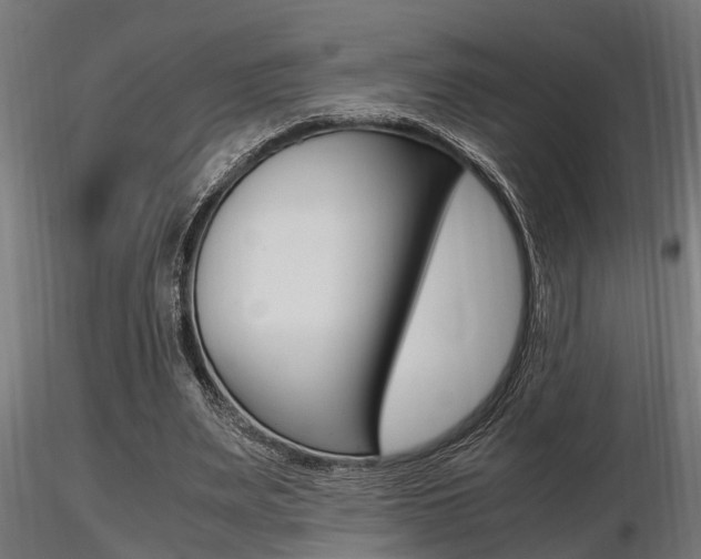X0000116460487200912090931