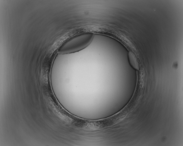 X0000116460489200912090931