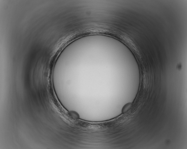 X0000116460490200912090931