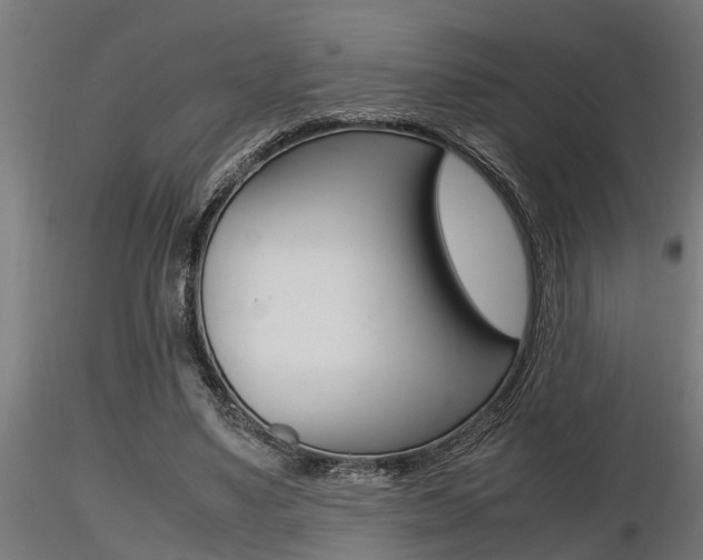 X0000116460491200912090930