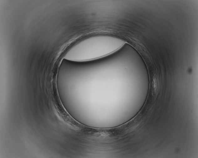 X0000116460492200912090930