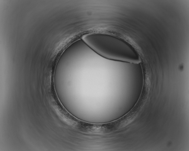X0000116460493200912090930