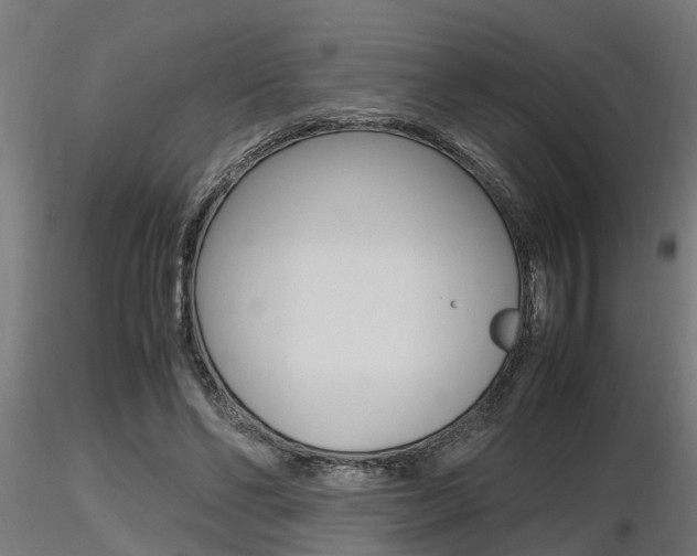 X0000116460494200912090930