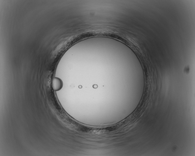 X0000116460495200912090930