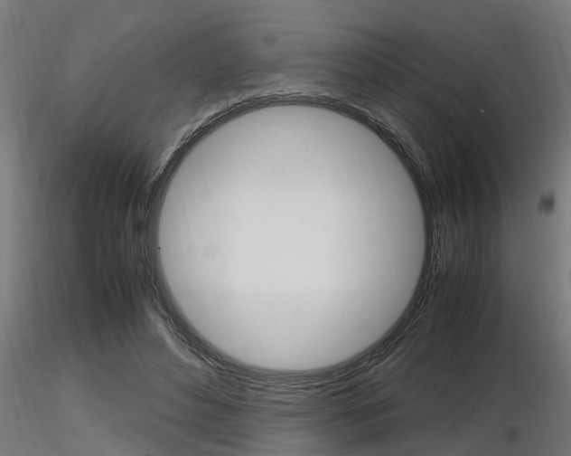 X0000116460496200912090930