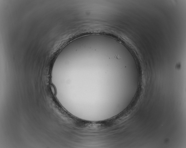 X0000116460497200912090930