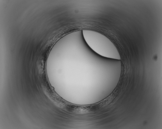 X0000116460498200912090930