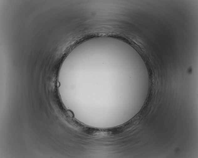 X0000116460499200912090930