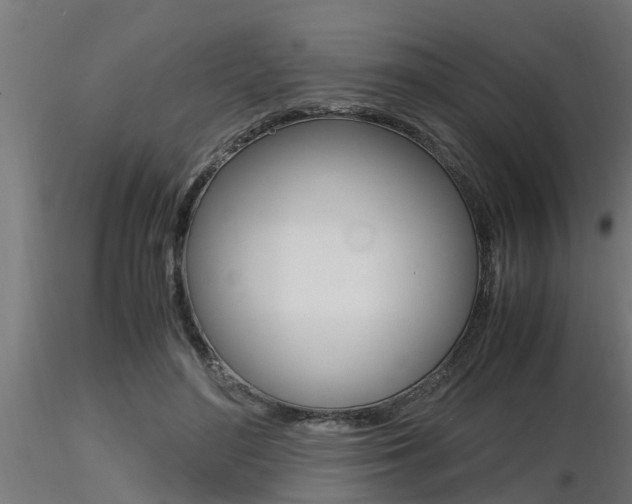 X0000116460500200912090930