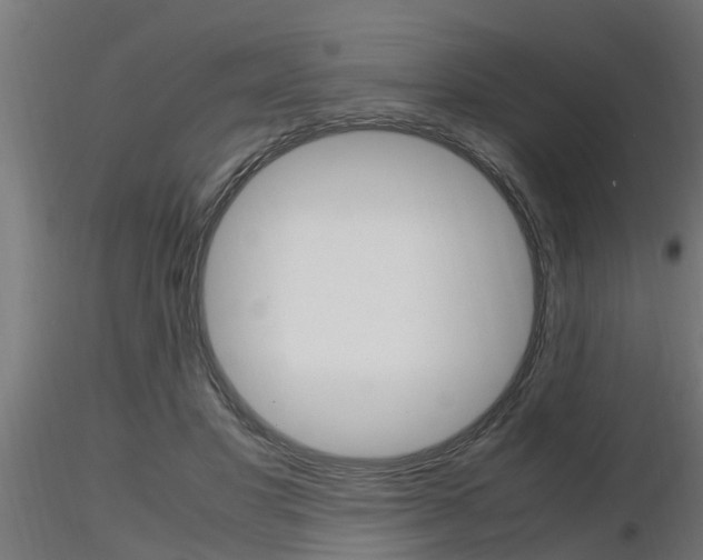 X0000116460501200912090930